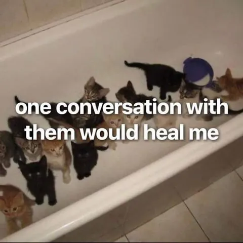 One Conversation With Cats