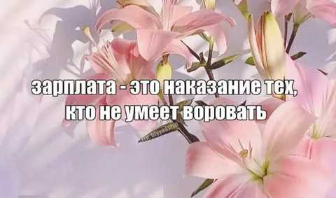 Зарплата — наказание за честность