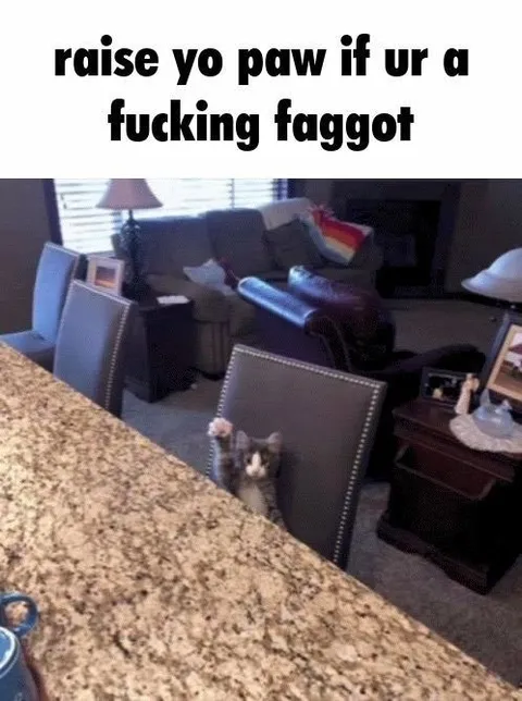 Cat Raises Its Paw