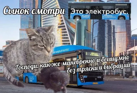 Сынок, смотри, электробус