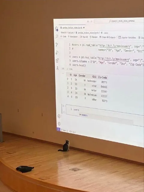 Cat Learns Pandas Dataframes