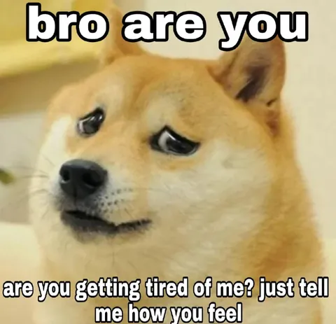 Bro Are You Getting Tired of Me