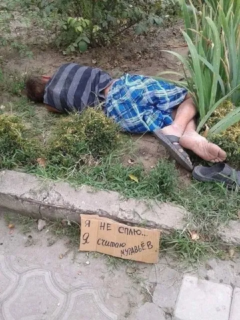 Я не сплю, я считаю муравьёв