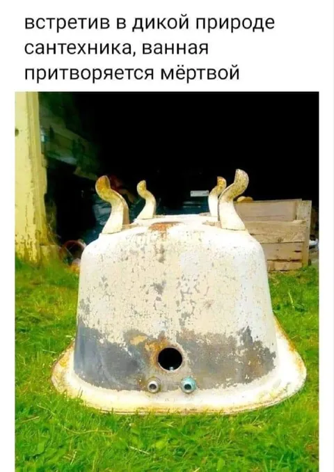 Ванная притворяется мёртвой