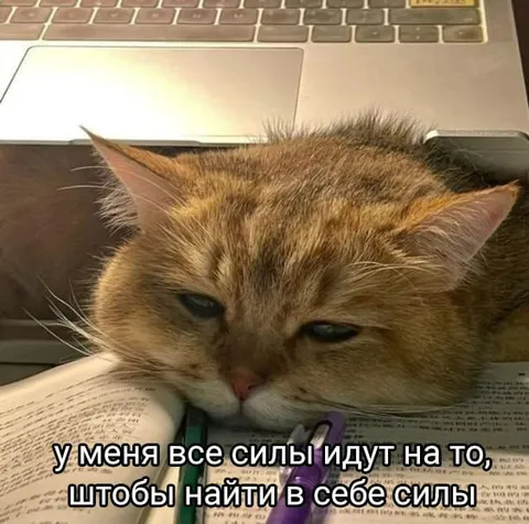 Силы найти в себе силы