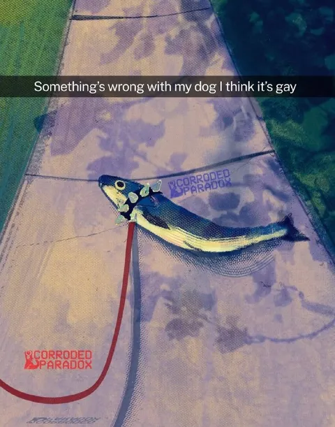 My Dog Is Gay
