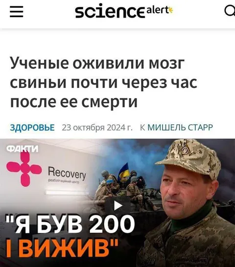 Мозг свиньи оживили после смерти