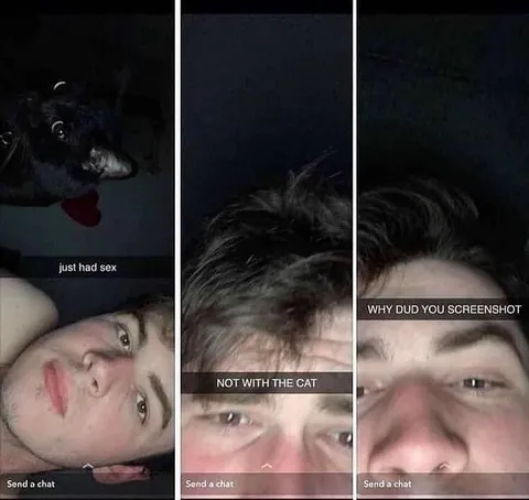 Not With the Cat