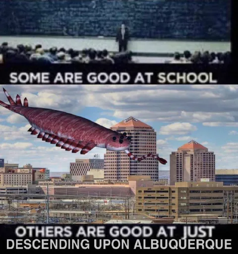 Good at School, Better at Albuquerque