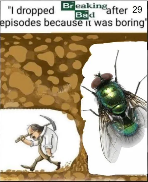 Dropped Breaking Bad After 29 Episodes
