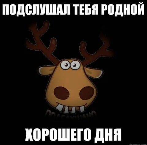 Подслушал тебя, родной