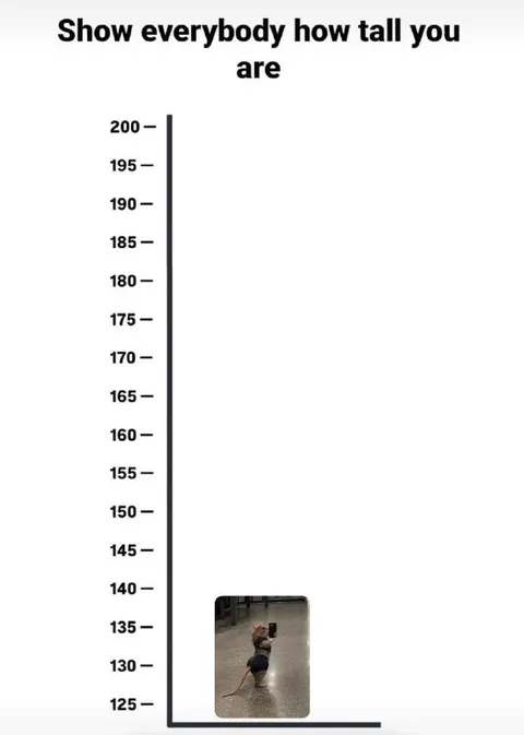 Show Everybody How Tall You Are
