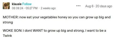 Woke Son Wants to Be a Twink