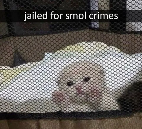 Jailed for Smol Crimes
