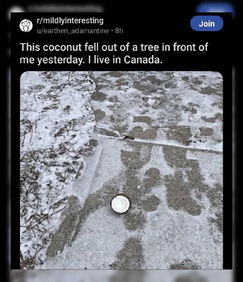 Coconut Falls in Canada