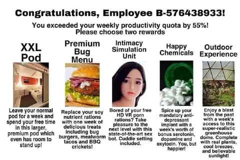 Employee Reward Selection