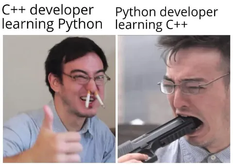 C++ and Python Developers Learning