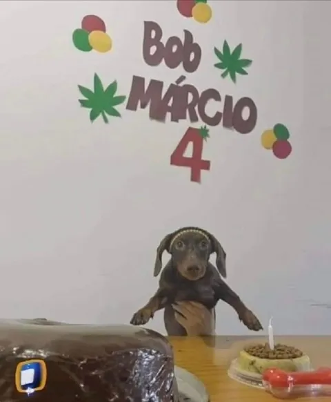 Bob Márcio faz quatro anos