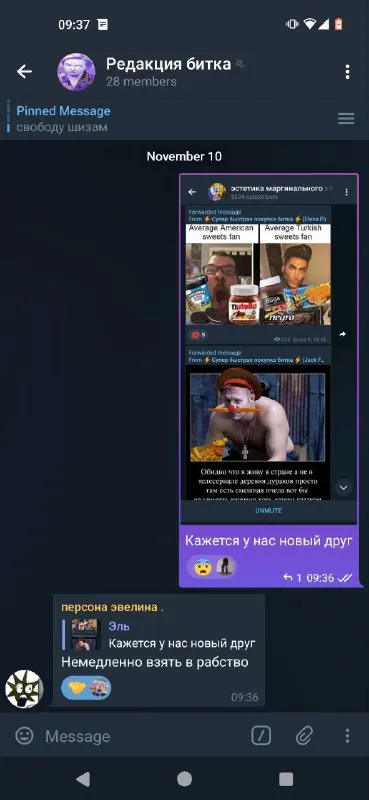Кажется, у нас новый друг
