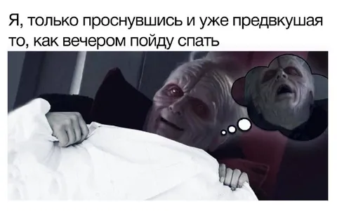 Предвкушение вечернего сна