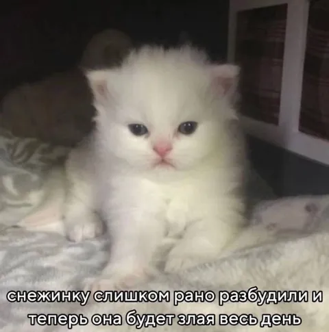 Снежинку слишком рано разбудили