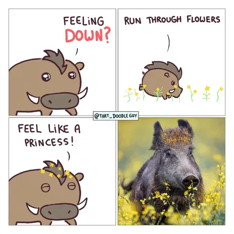 Boar Runs Through Flowers