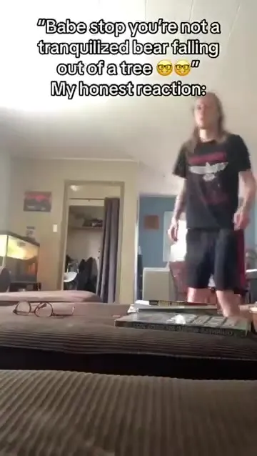 My Honest Reaction to a Falling Bear