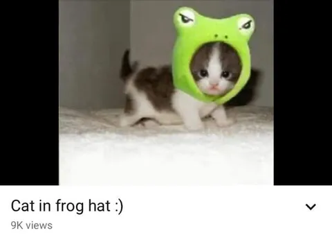 Cat in Frog Hat