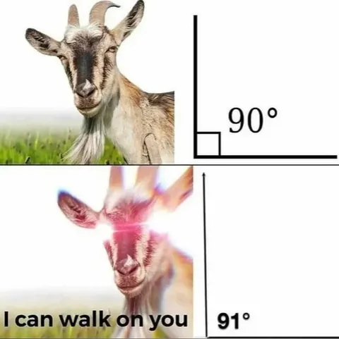 Goat Walks on You at 91 Degrees