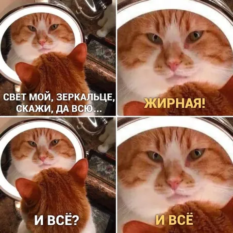 Зеркало сказало правду