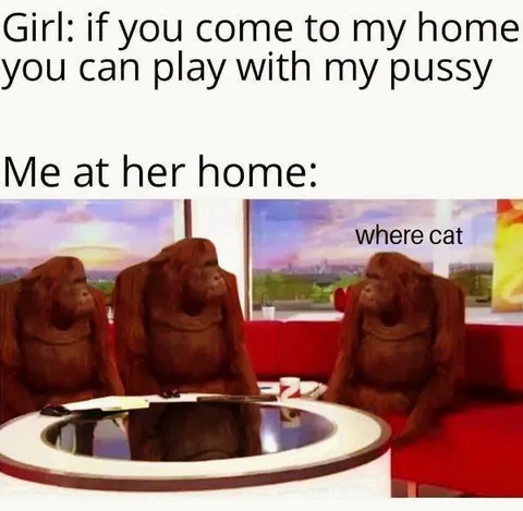 Where Cat?