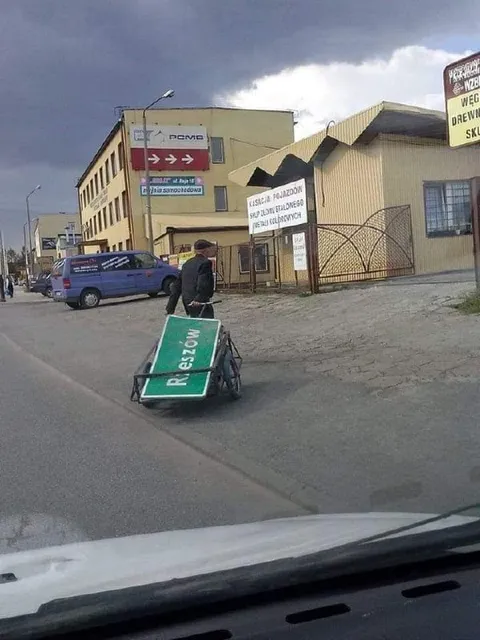 Rexona na wózku
