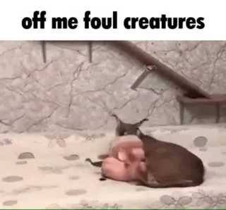 Off Me, Foul Creatures