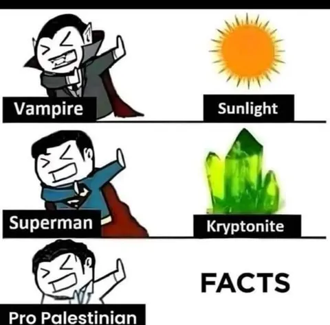 Pro-Palestinian Sees Facts