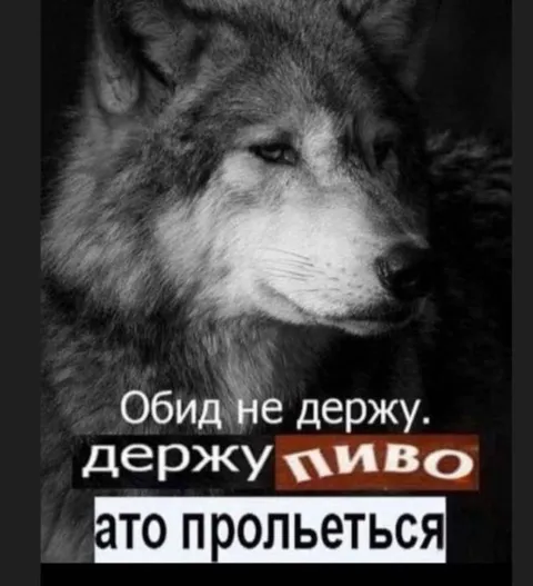 Держу пиво, а не обиду