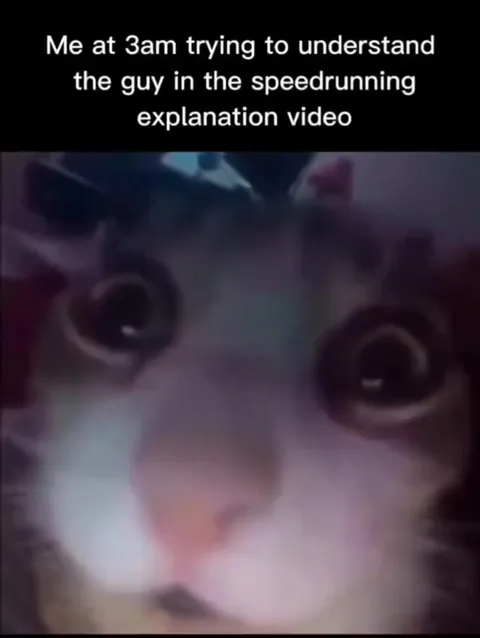 Cat Explains Fish Overlay