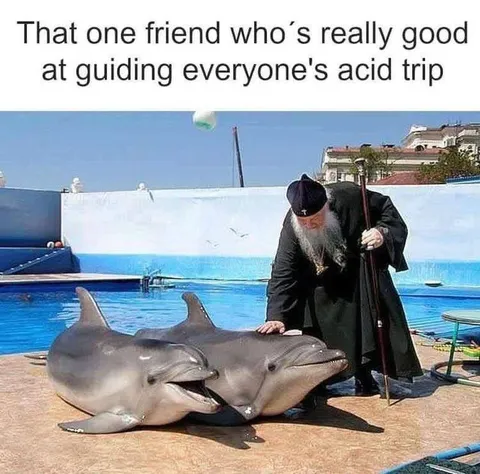 Friend Guiding the Acid Trip