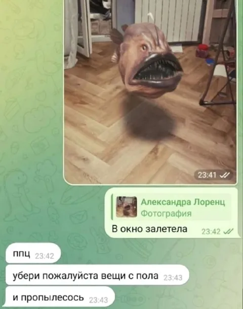 Рыба залетела в окно