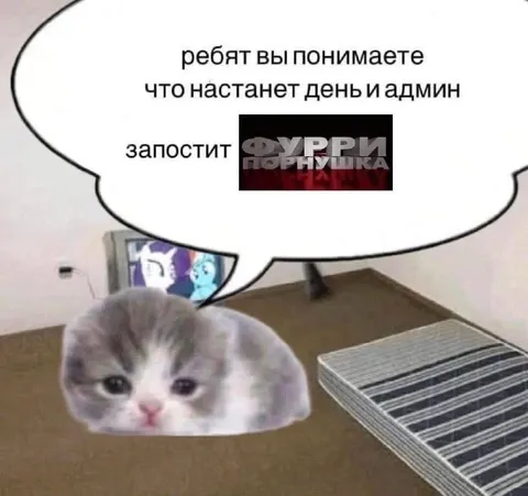 Когда админ запостит фурри-порнушку