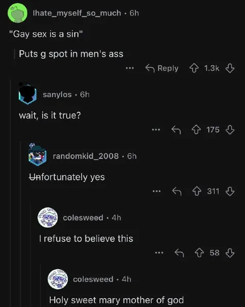Gay Sex Is a Sin Comment Chain