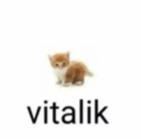 Tiny Cat Named Vitalik