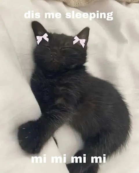 Black Kitten Sleeping Mi Mi Mi