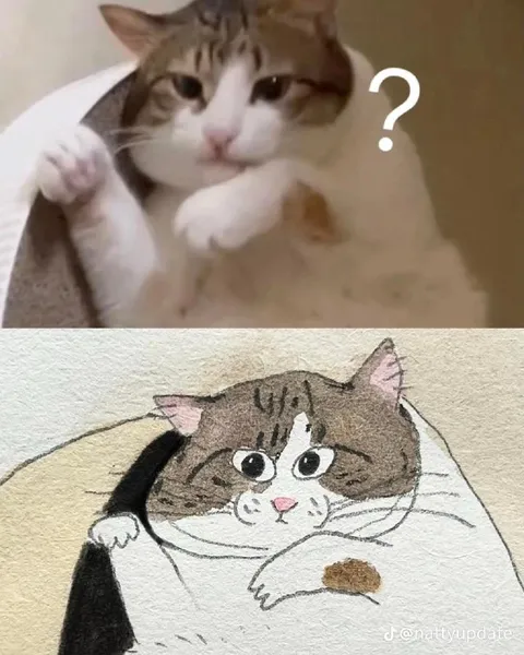 Кот в реальности и на рисунке