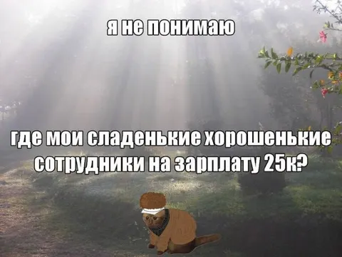 Где сотрудники на зарплату 25к
