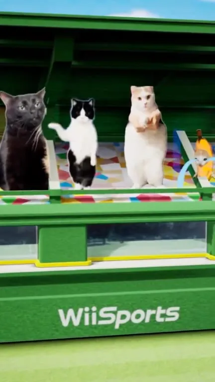Коты играют в теннис
