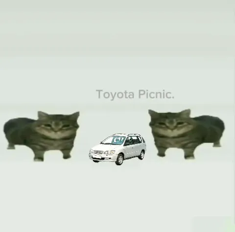 This Is a Toyota Picnic