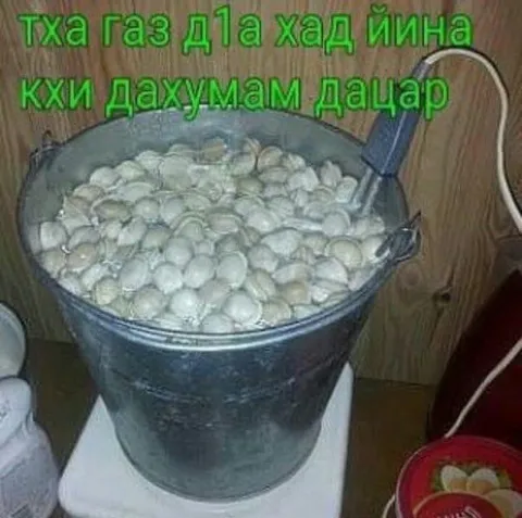 Газ д1а хад ийна