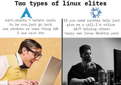 Two Types of Linux Elites
