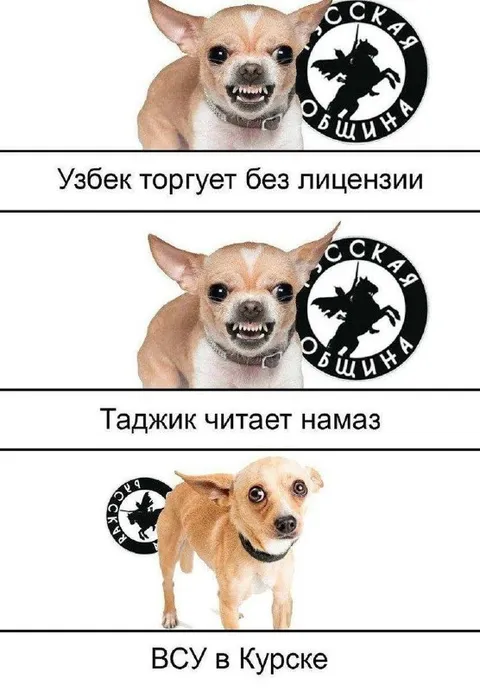 Собака и три национальных стереотипа