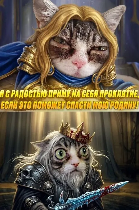 Кот принимает проклятие